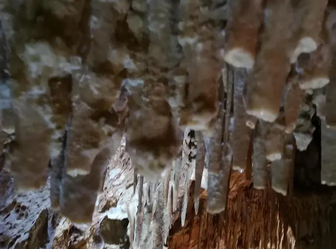 Accogliente Dimora 3*