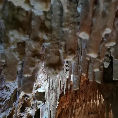 Accogliente Dimora 3*